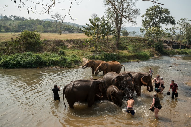 Turistas em um pequeno rio dando banho em elefantes