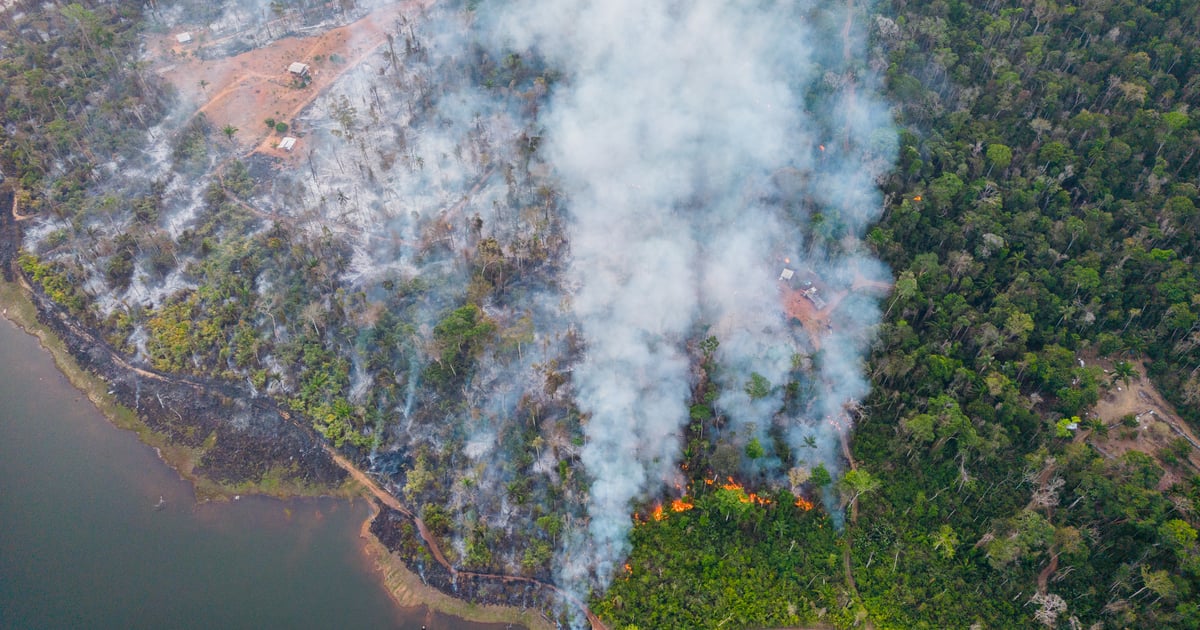 PL da Devastação: quando o retrocesso é sancionado como progresso
