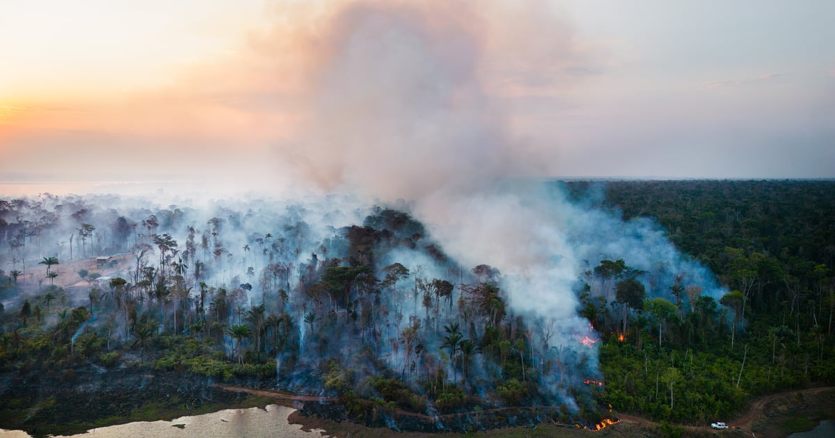 Posicionamento sobre a aprovação do PL da Devastação