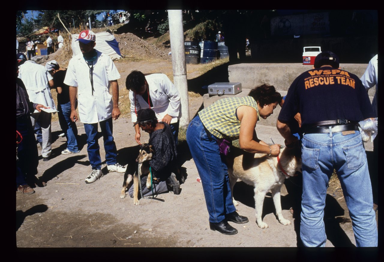 A line of people and their dogs form behind the WSPA rescue team