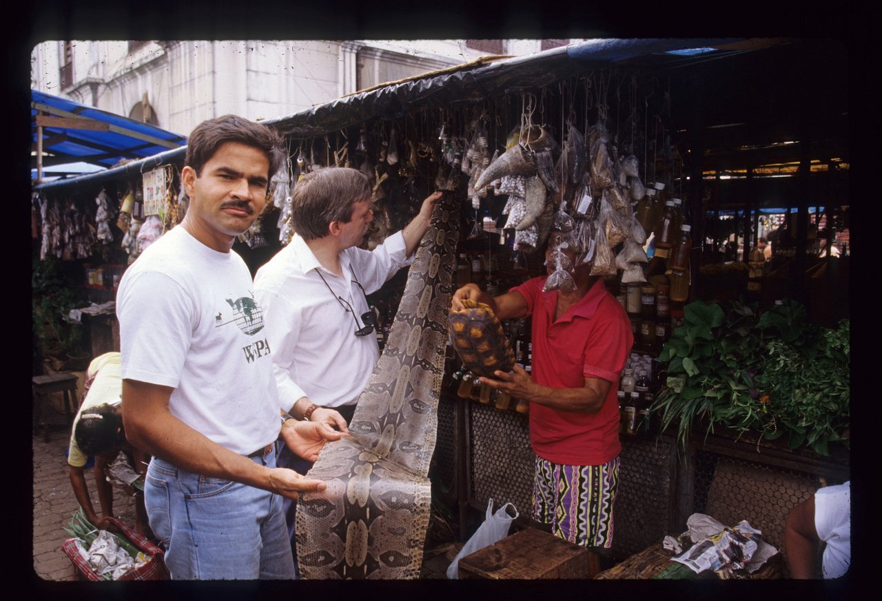 WSPA conduct illegal wildlife trade investigation Belem City 1995