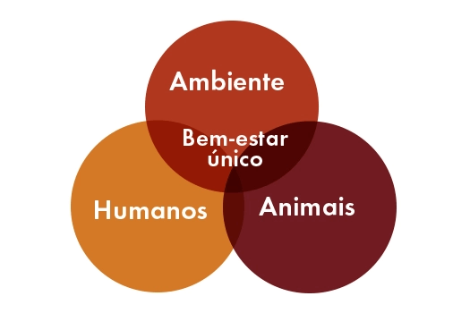 Um bem-estar