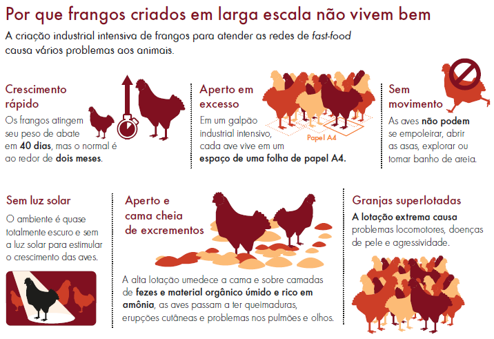 Chicken infographic