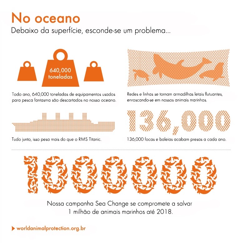 No oceano infographic