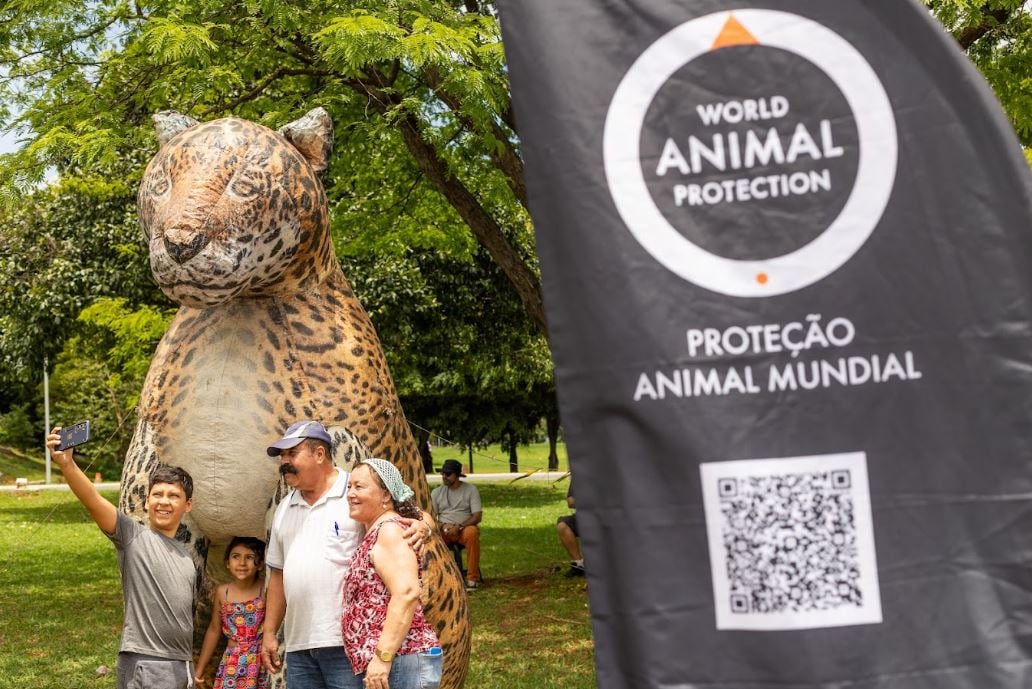 imagem das ruas de Brasília mostrando o ponto animal com infláveis de capivara, onça e lobo guará