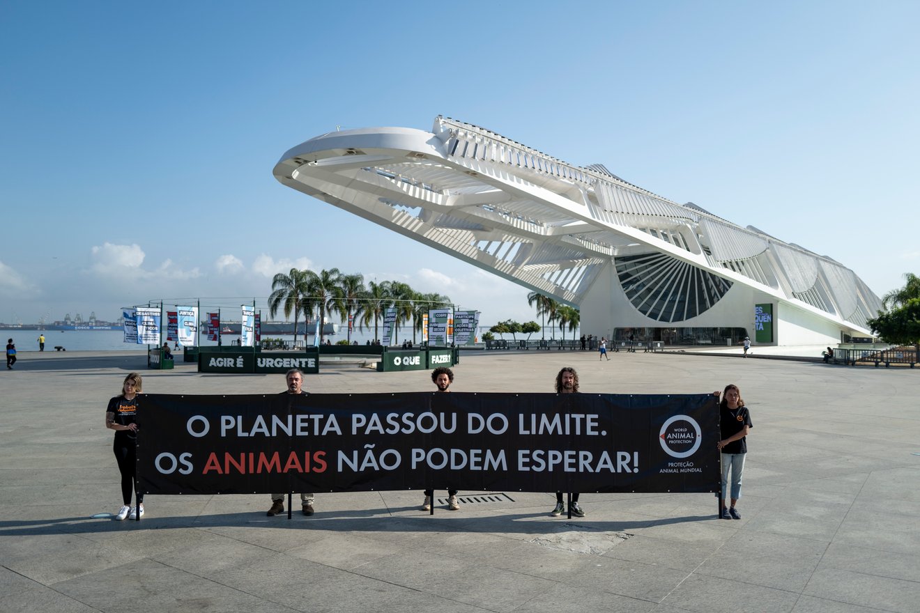 Apoiadores e voluntários seguram banner em uma ação não violenta em frente ao Museu do Amanhã