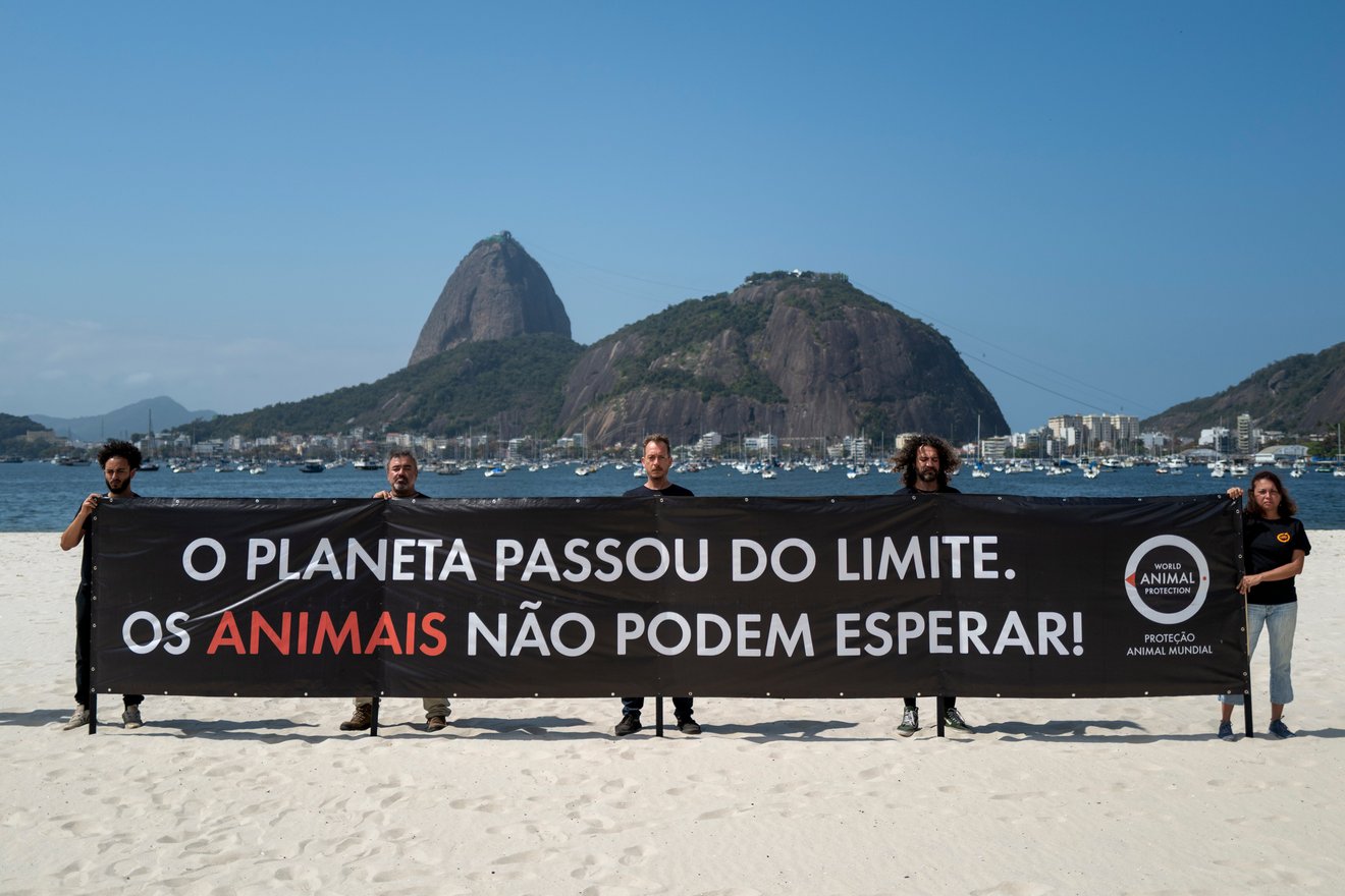 Voluntários e apoiadores posam para foto com banners em frente ao pão de açúcar, na Enseada de Botafogo.