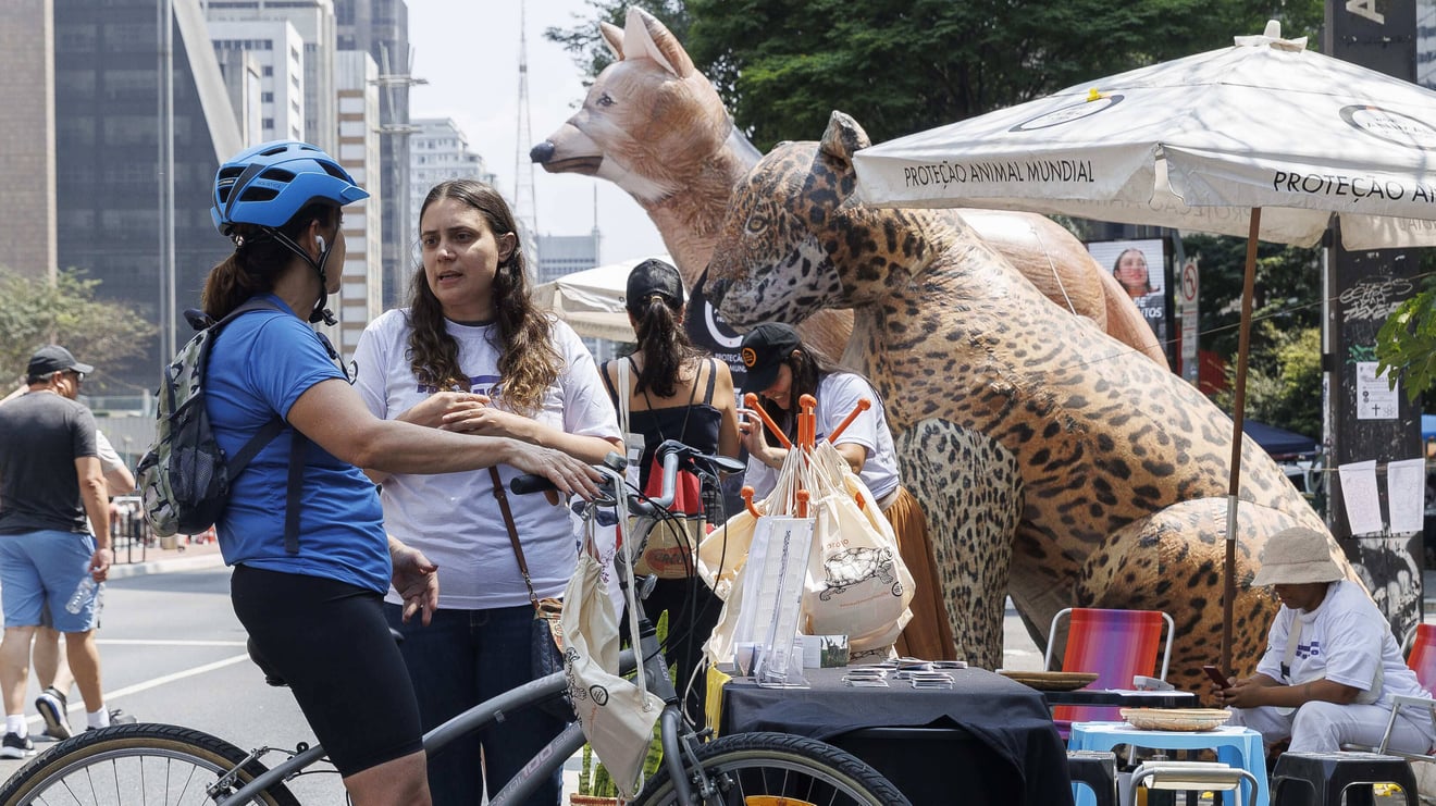 Ponto Animal na Paulista Aberta 220924