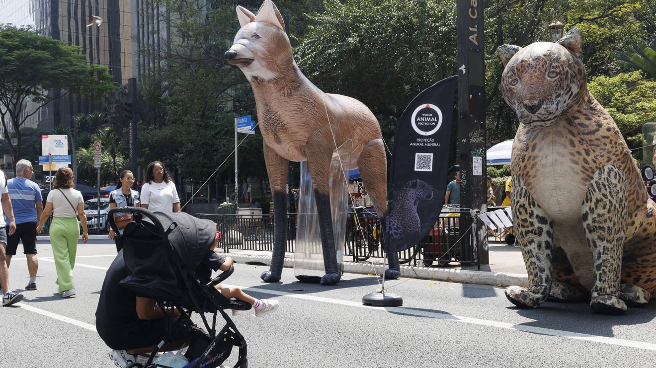 Ponto Animal na Paulista Aberta 220924