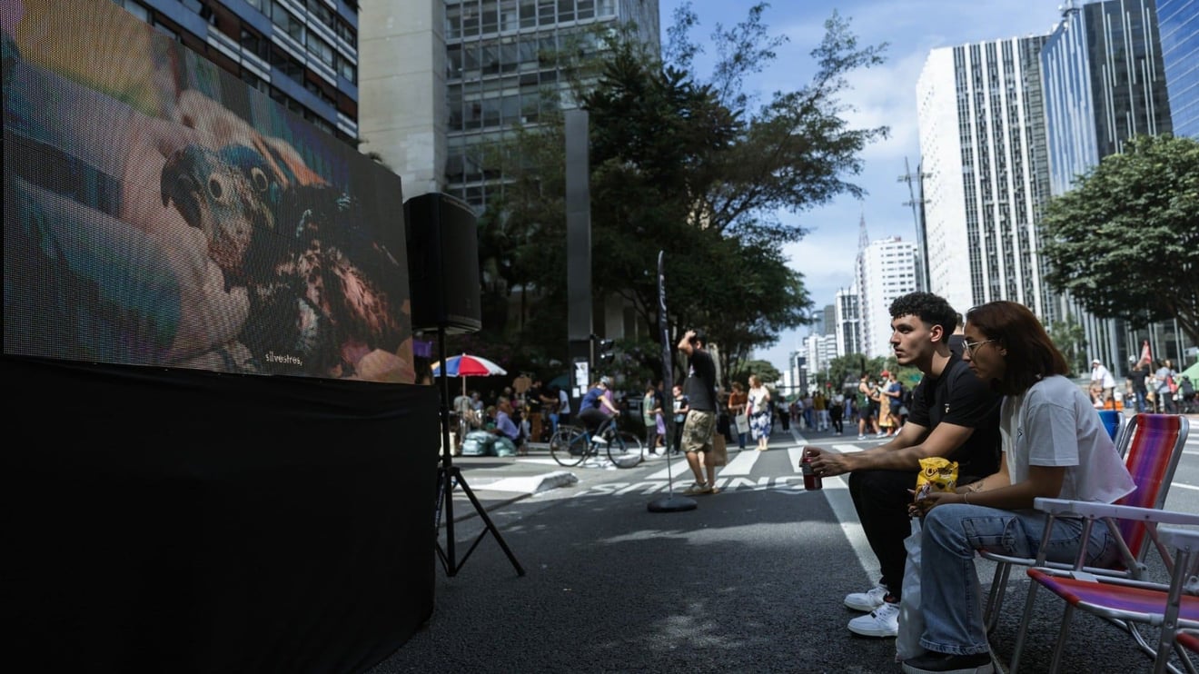 Apoiadores assistindo ao documentário
