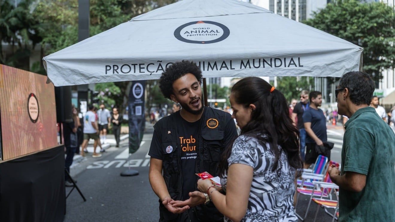 Equipe conversando com apoiadora