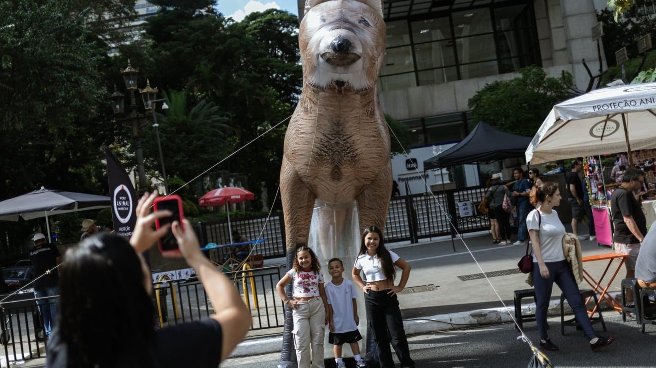 Crianças tirando foto com inflável do lobo-guará