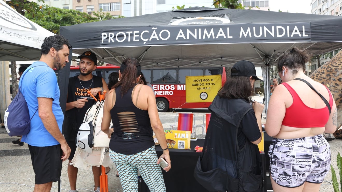 Apoiadores no Ponto Animal em Copacabana