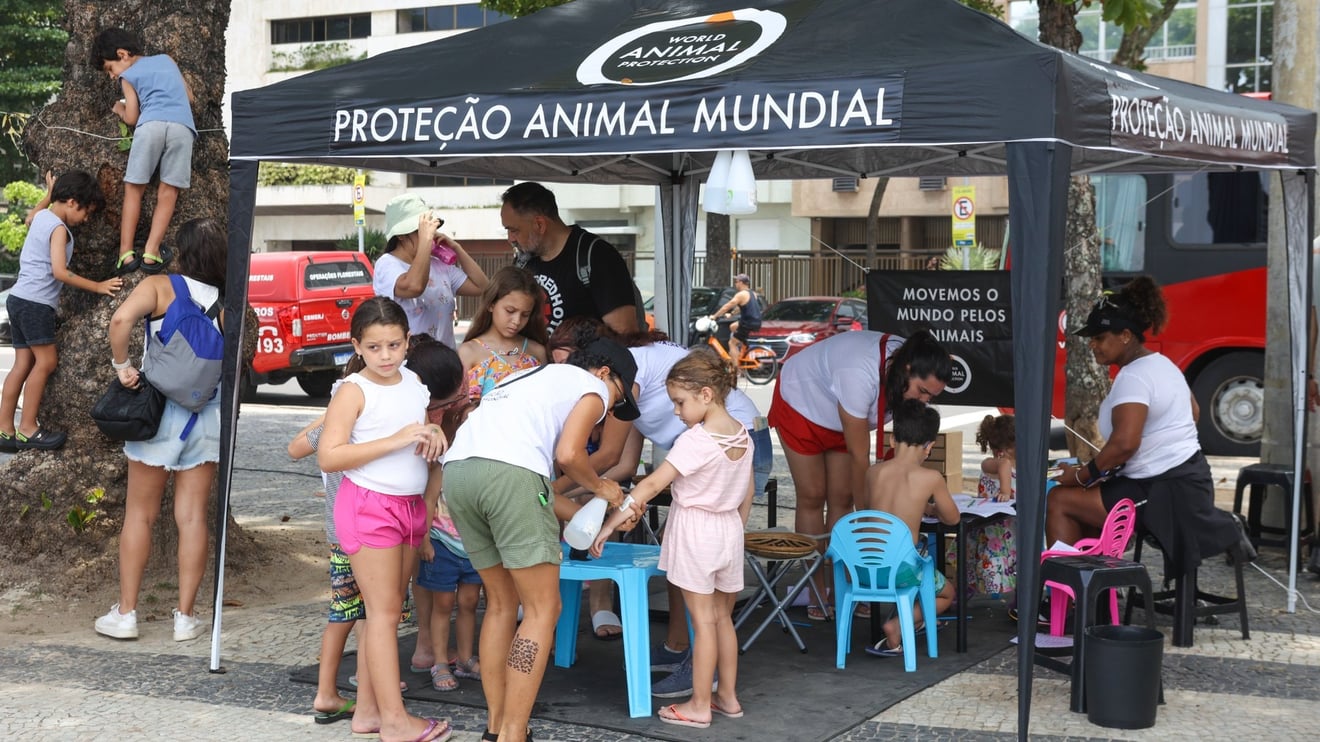 Crianças no Espaço Kids no Ponto Animal em Copacabana
