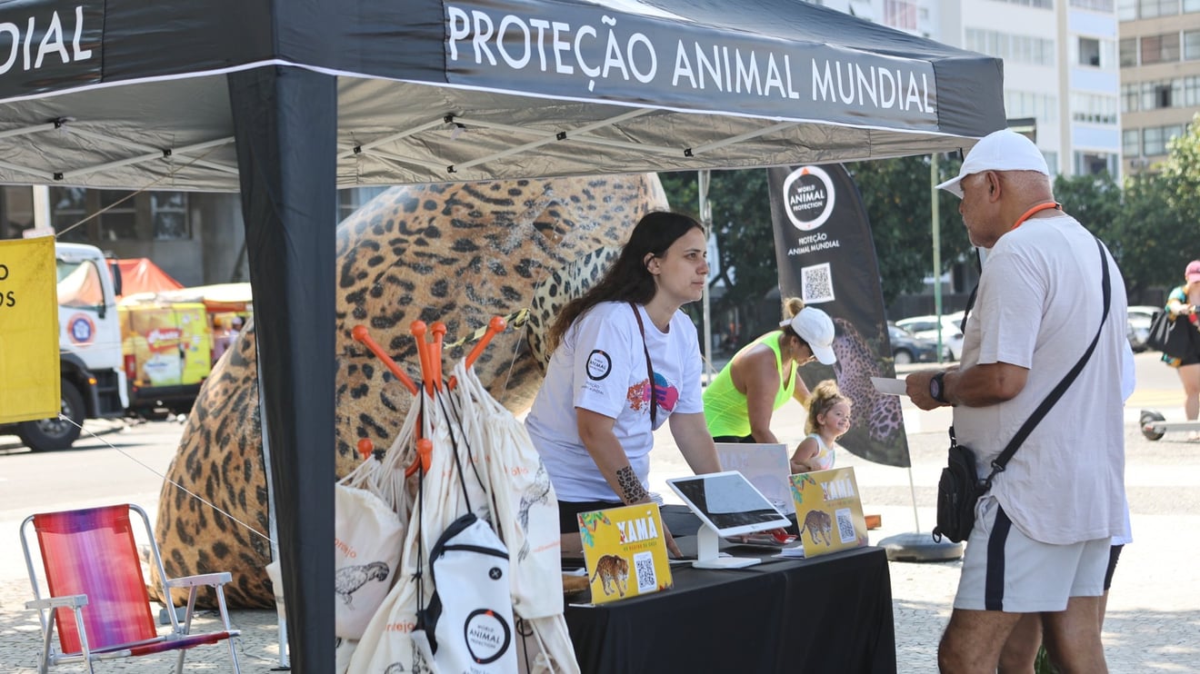Doação no Ponto Animal em Copacabana