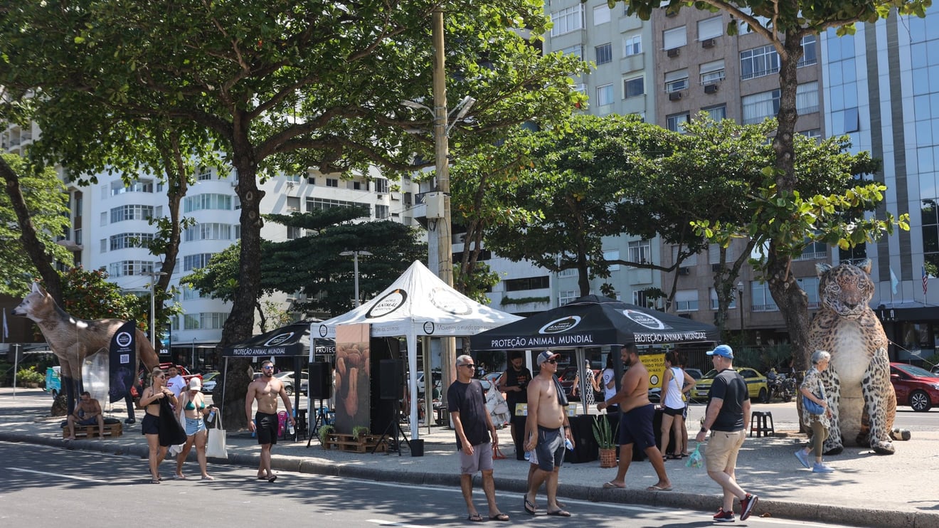 Ponto Animal em Copacabana atraiu os olhares - Foto Reginaldo Teixeira