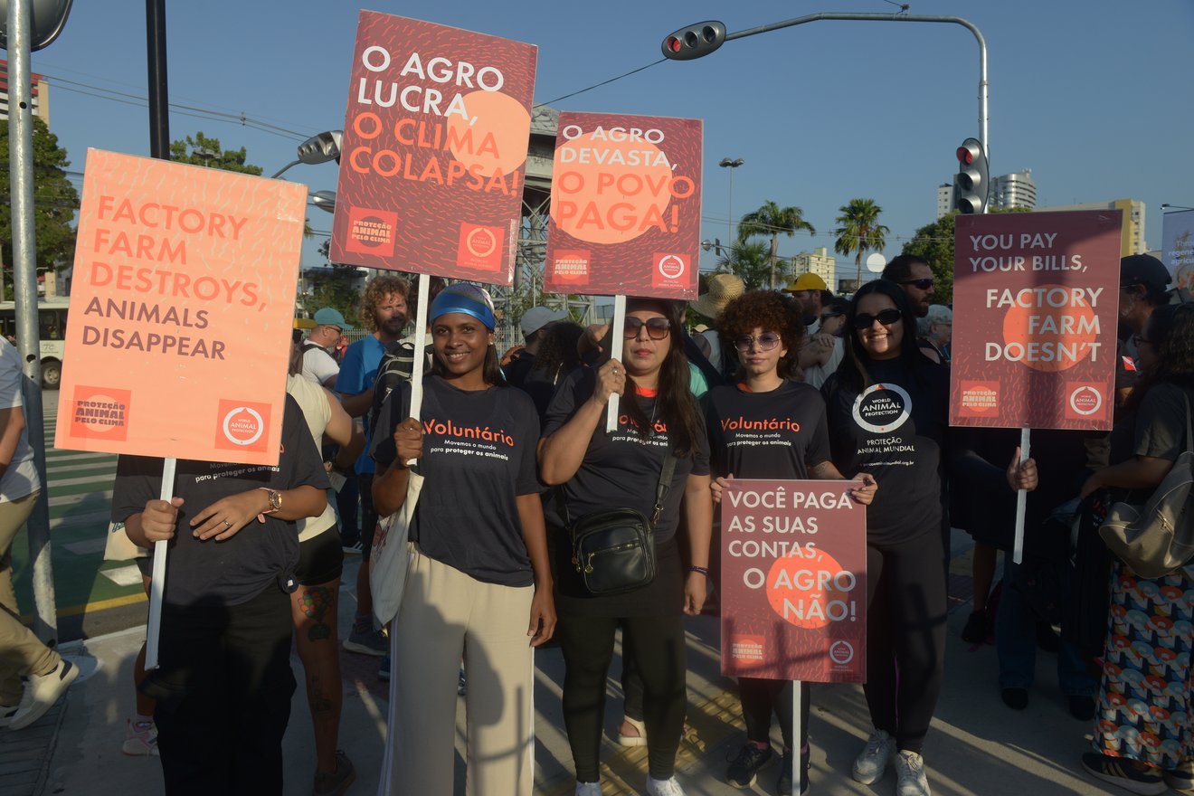 pessoas segurando placas de protesto