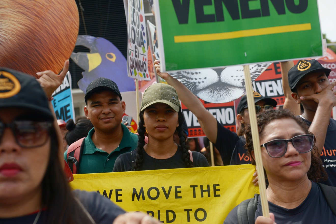 protesto, pessoas sérias e cartazes