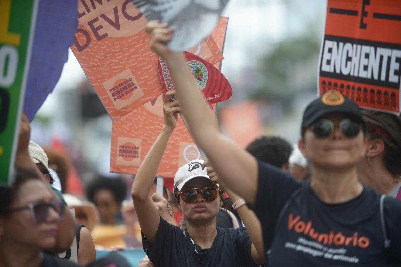 pessoas segurando cartazes em manifestação