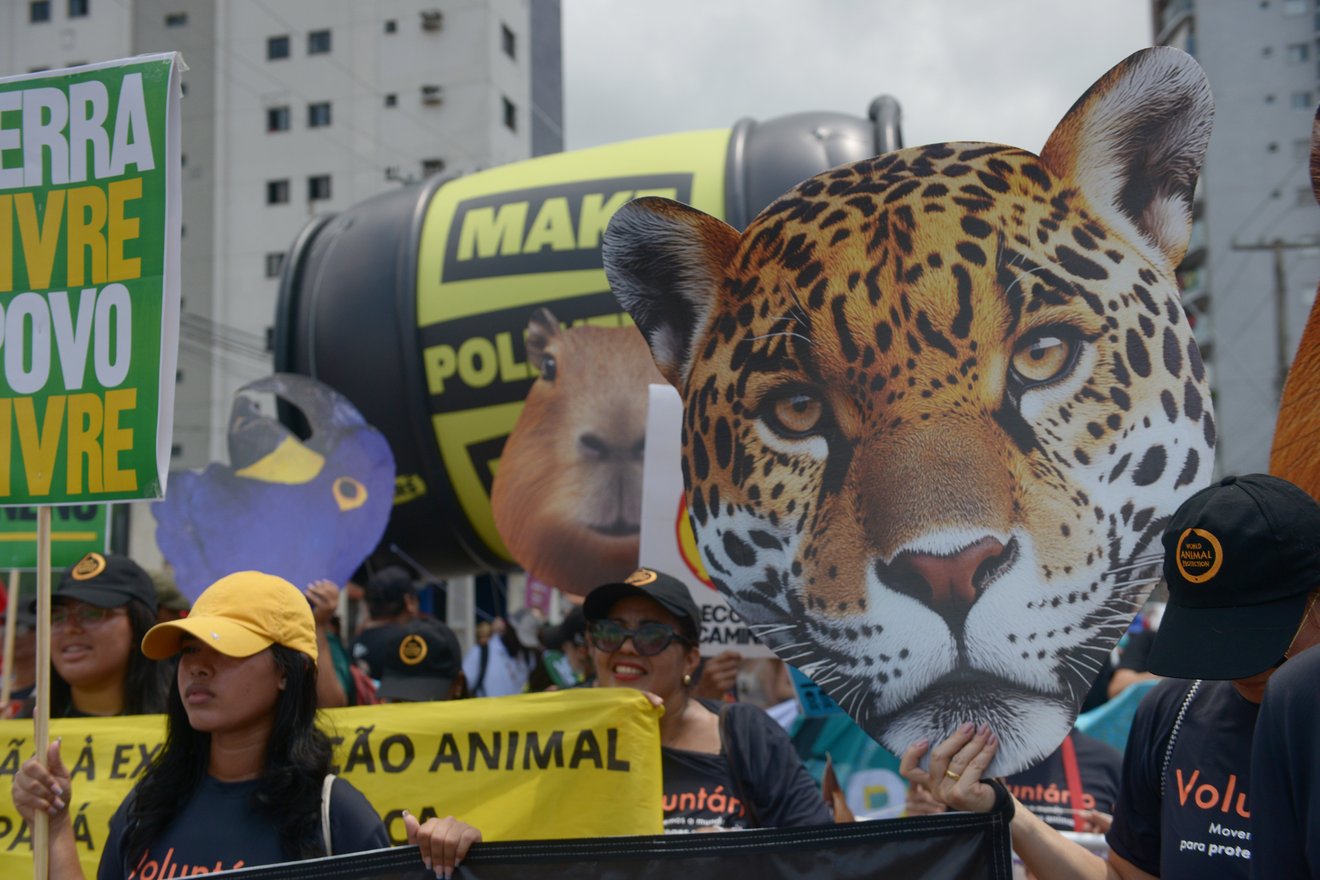pessoas segurando cartazes em manifestação