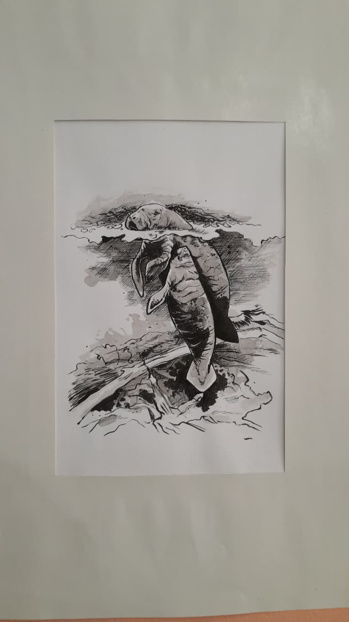 desenho de um peixe-boi