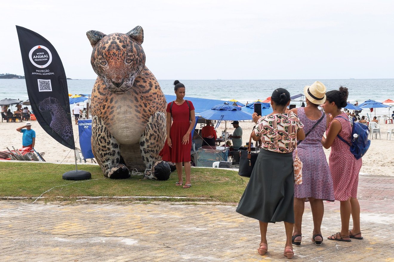 Ponto Animal Guarujá