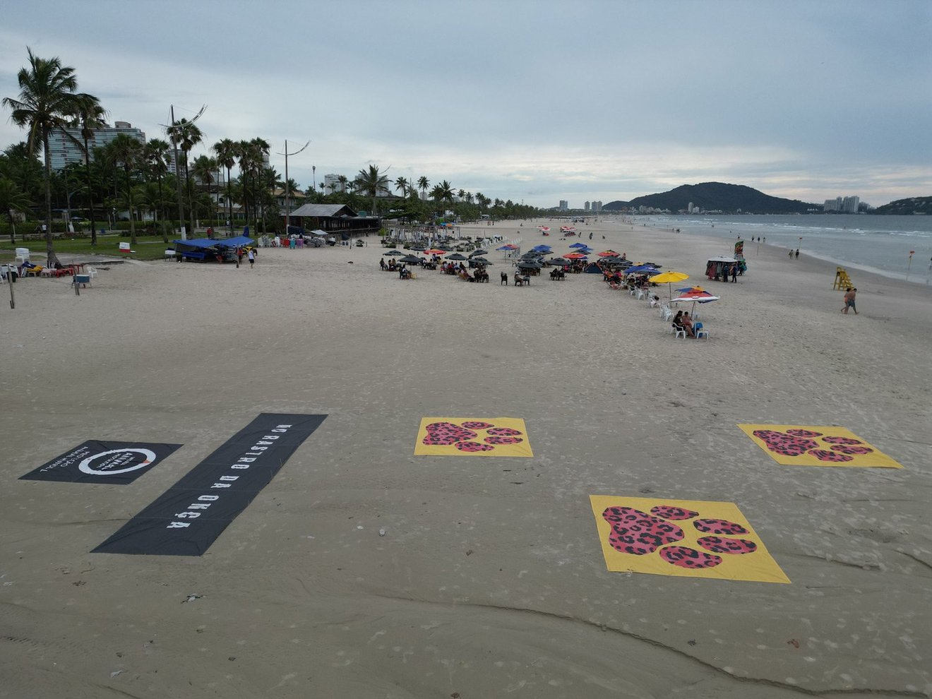 Ponto Animal Guarujá