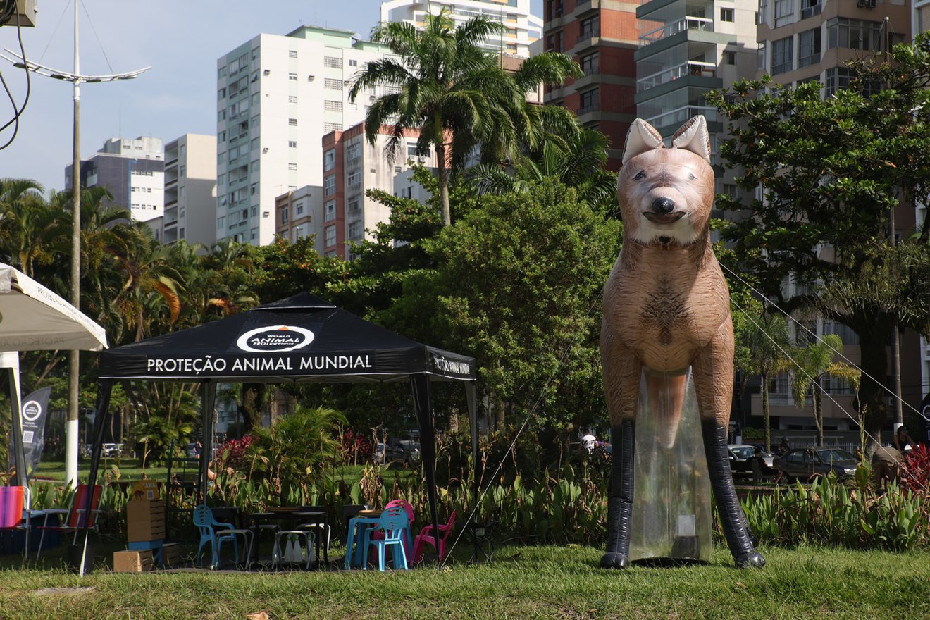 Ponto Animal Santos