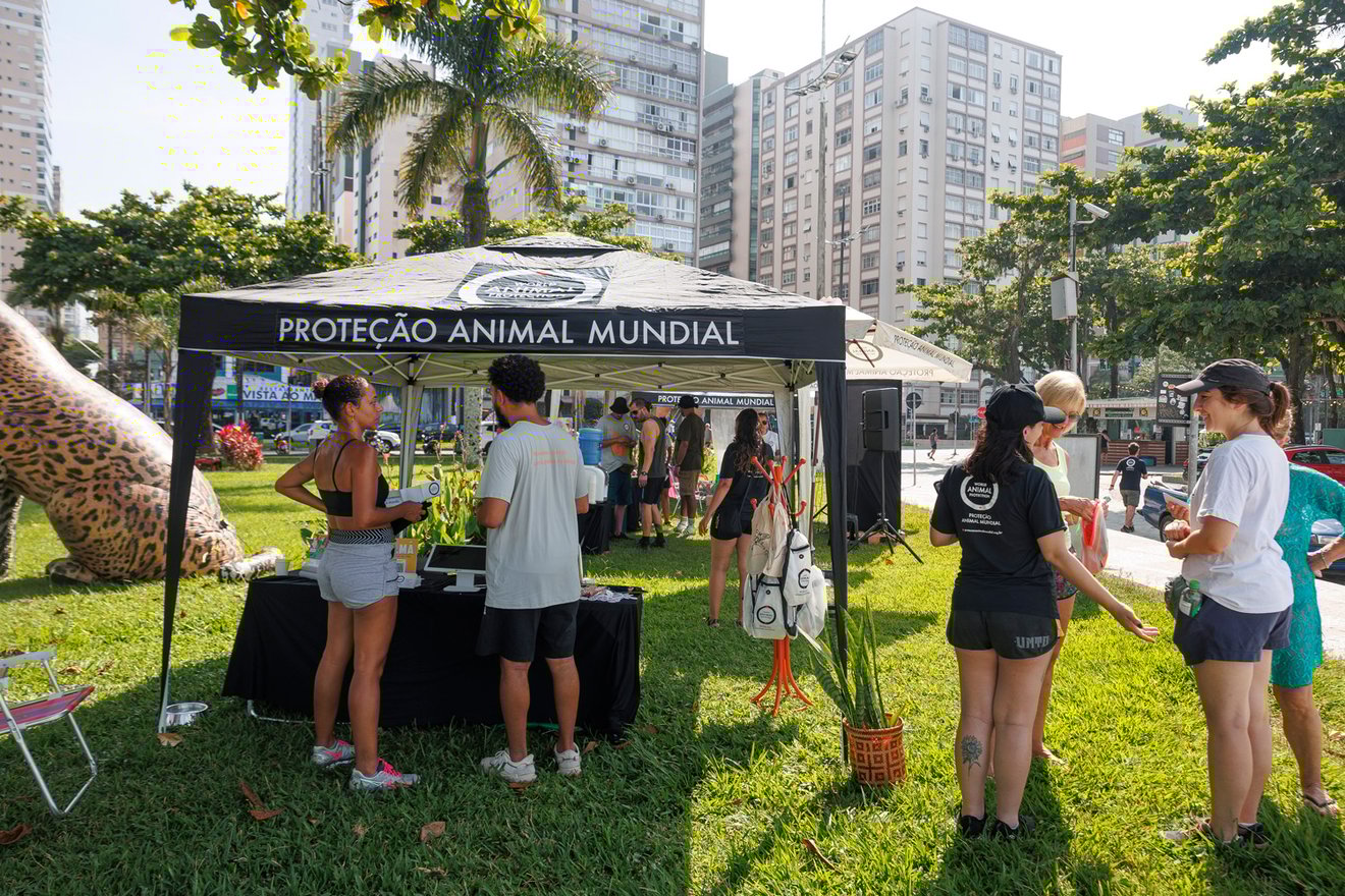 Ponto Animal Santos