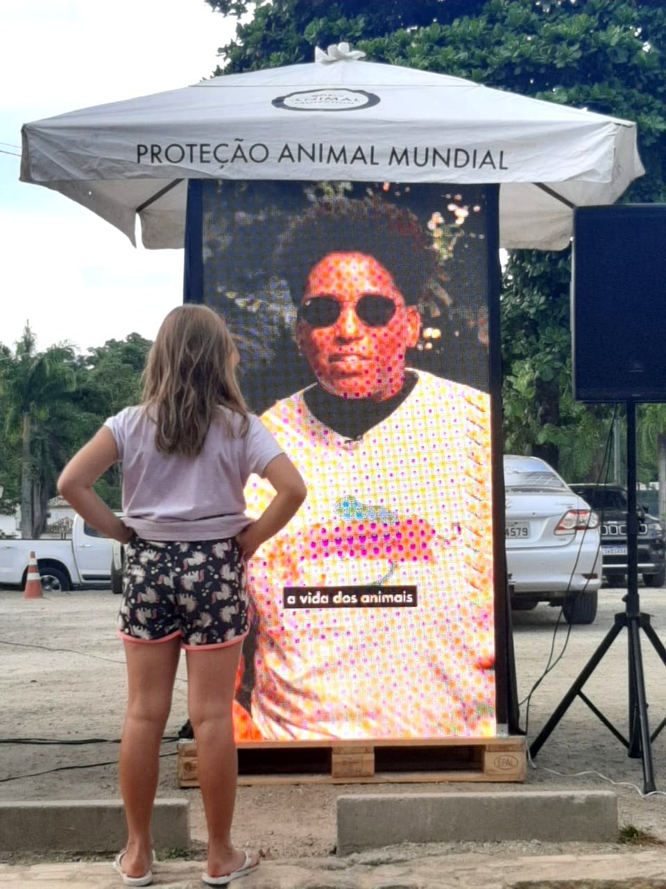 Ponto Animal Paraty - criança assistindo making of defaunação
