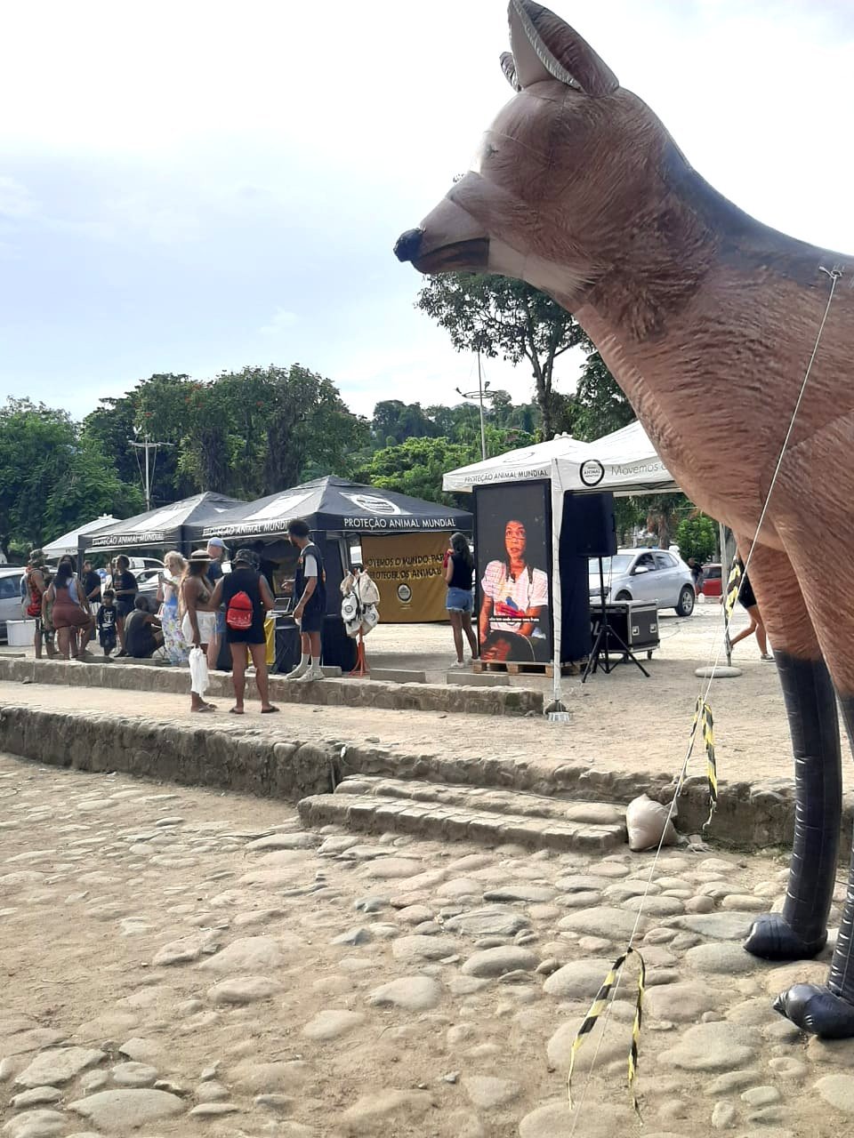 Ponto Animal Paraty - estrutura