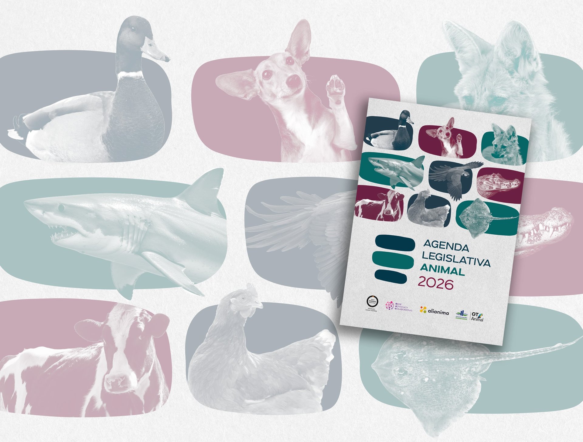 Agenda Animal 2026