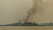 Imagem mostra área de floresta pegando fogo, com fumaça saindo em direção ao céu.