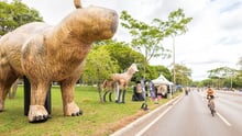 imagem das ruas de Brasília mostrando o ponto animal com infláveis de capivara, onça e lobo guará