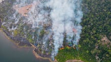 imagem de uma floresta incendiada no estado do Mato Grosso, Brasil.