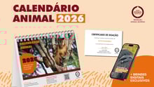 imagem com fundo laranja sobreposta de colagens de um calendario, um certificado e um celular