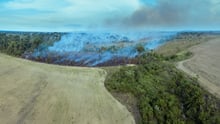 Área de floresta amazônica com foco de queimadas, que é sinalizada pelas fumaças que saem da área verde. Ao redor da floresta estão áreas já desmatadas que serão usadas pela agropecuária.