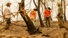 Wap team fire