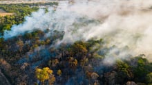 imagem da floresta Amazônica em chamas vista de uma câmera de cima com as árvores pegando fogo