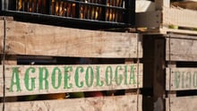 agroecologia: imagem de uma cesta de feira escrito agroecologia