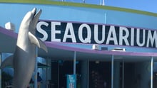 Fachada do Miami Seaquarium