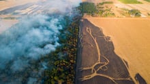 Entre agosto e setembro de 2022, a Proteção Animal Mundial visitou o estado de Mato Grosso, no Brasil, para realizar o monitoramento de campo dos incêndios, avaliar o impacto sobre os animais selvagens e procurar oportunidades de resgate, trabalhando em colaboração com o GRAD para aumentar a capacidade de resgate de animais selvagens afetados pelos incêndios. Na foto, incêndios florestais no município de SINOP