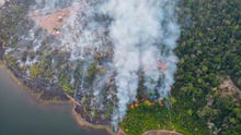 Incêndios em um assentamento no Mato Grosso - a imagem aérea mostra a fumaça saindo por entre as árvores.