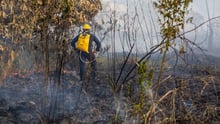 mudança climática: imagem de um bombeiro apagando incêndio em meio a floresta Amazônica em chamas