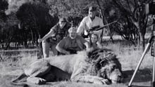 Photo depicting trophy hunting