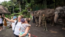 Casal de turistas, com uma criança no colo, posam para selfie com elefantes que estão ao fundo