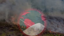 Queimadas na Amazônia ao fundo com uma imagem ilustrada do planeta Terra com uma máscara de proteção