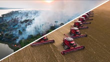 JBS compra granos de areas deforestadas en Brasil