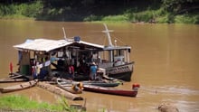 Moratória da piracatinga deve acompanhar alternativas sustentáveis para comunidades ribeirinhas