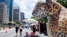 Onça no Ponto Animal Av. Paulista
